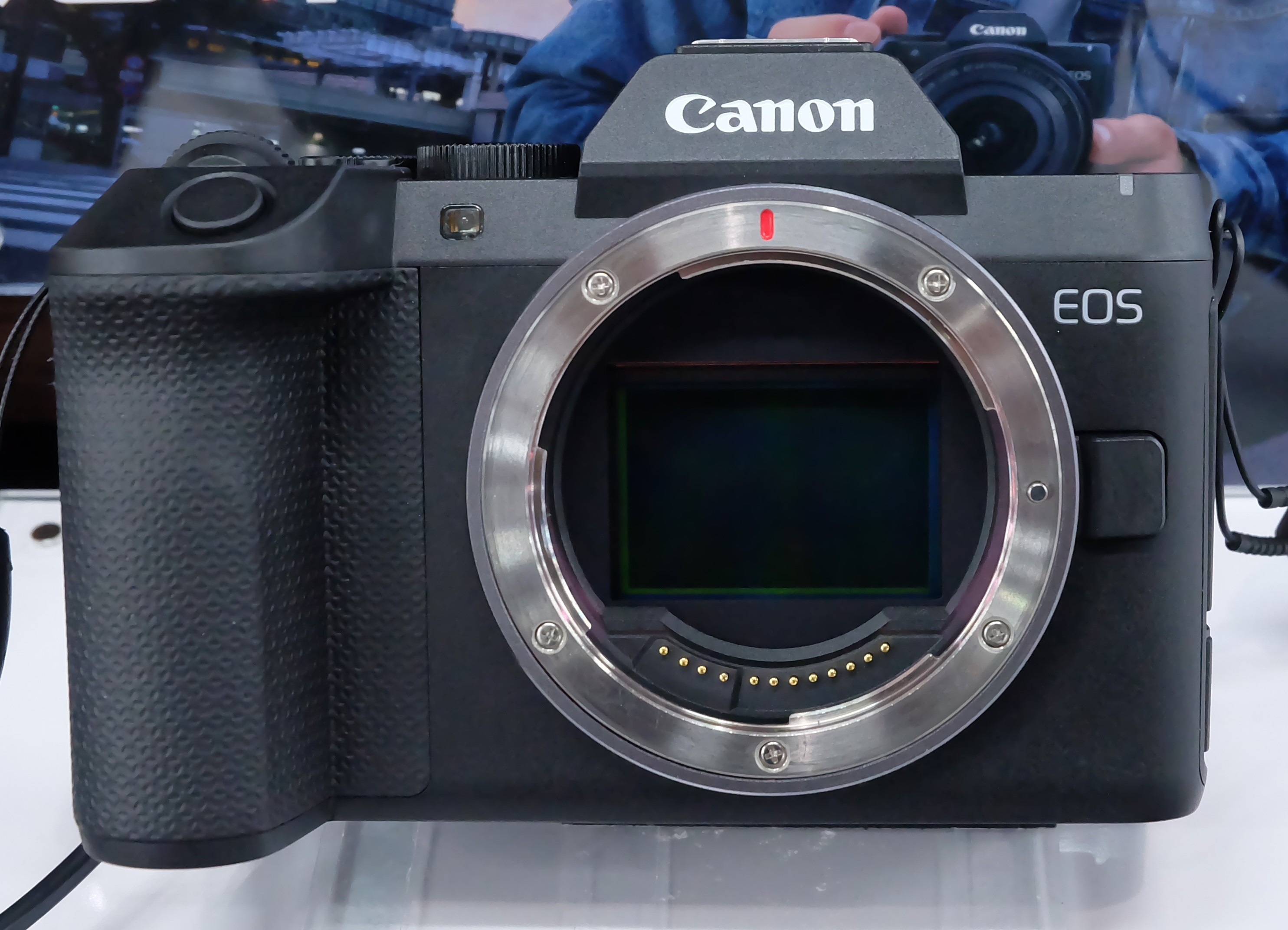 Cámara Canon EOS R8 Mark II
