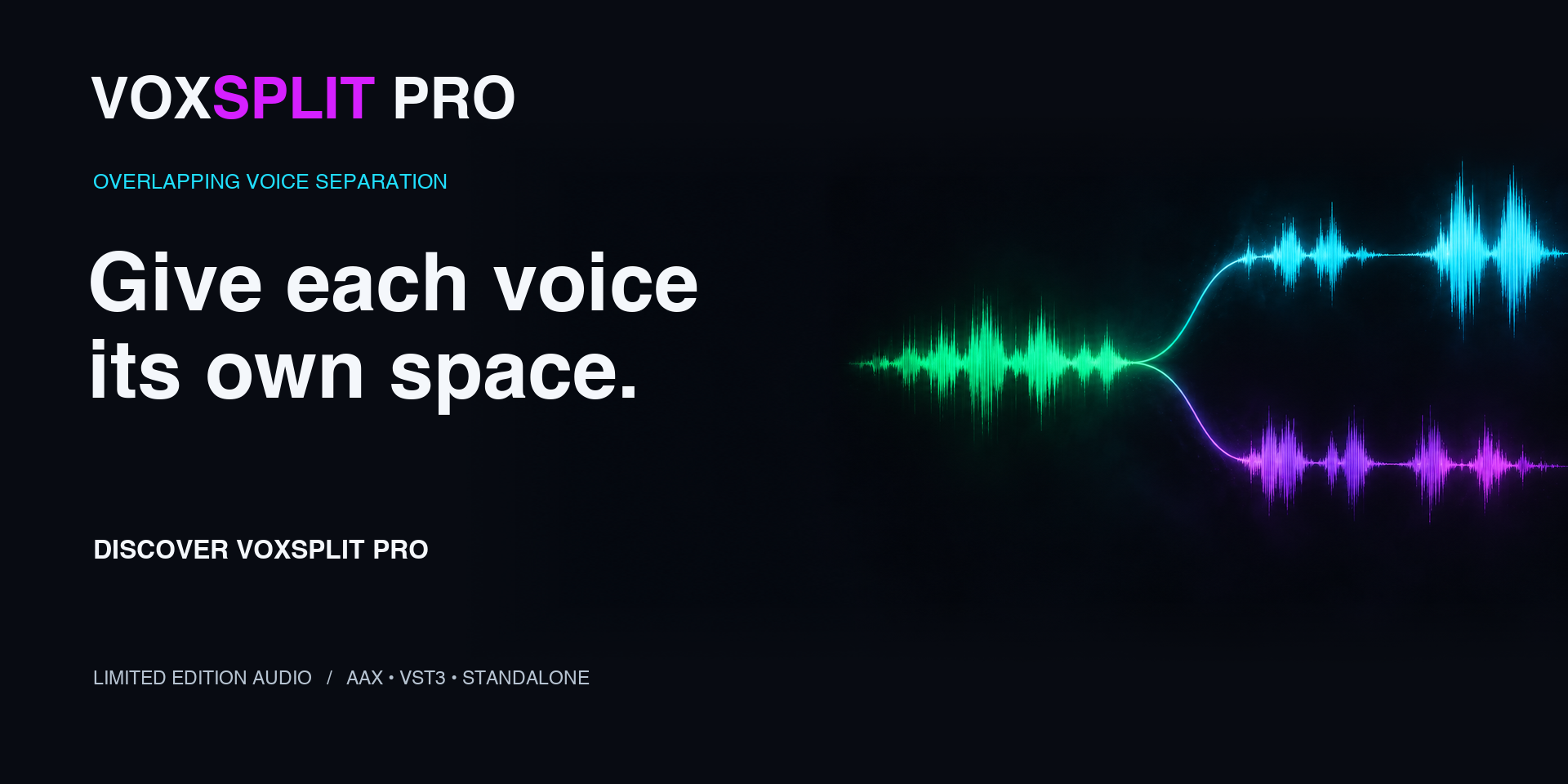 VoxSplit Pro